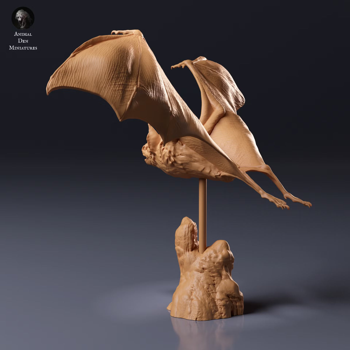Common Vampire Bat Flying 1:2