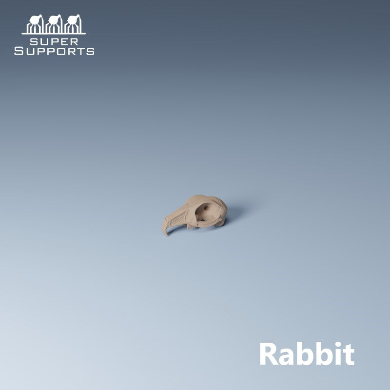 Animal Skulls - Group 5