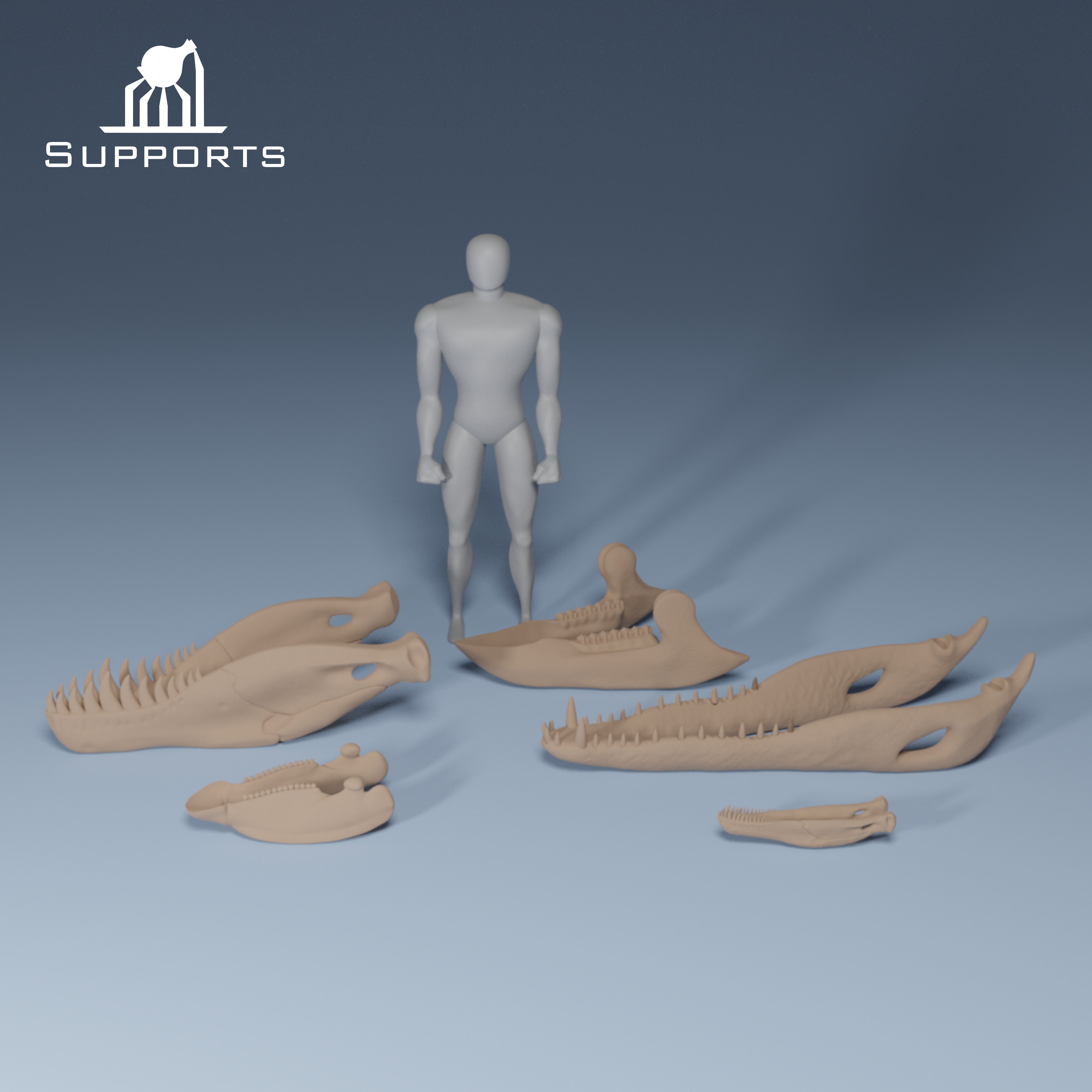 Dinosaur Skulls - Group 2