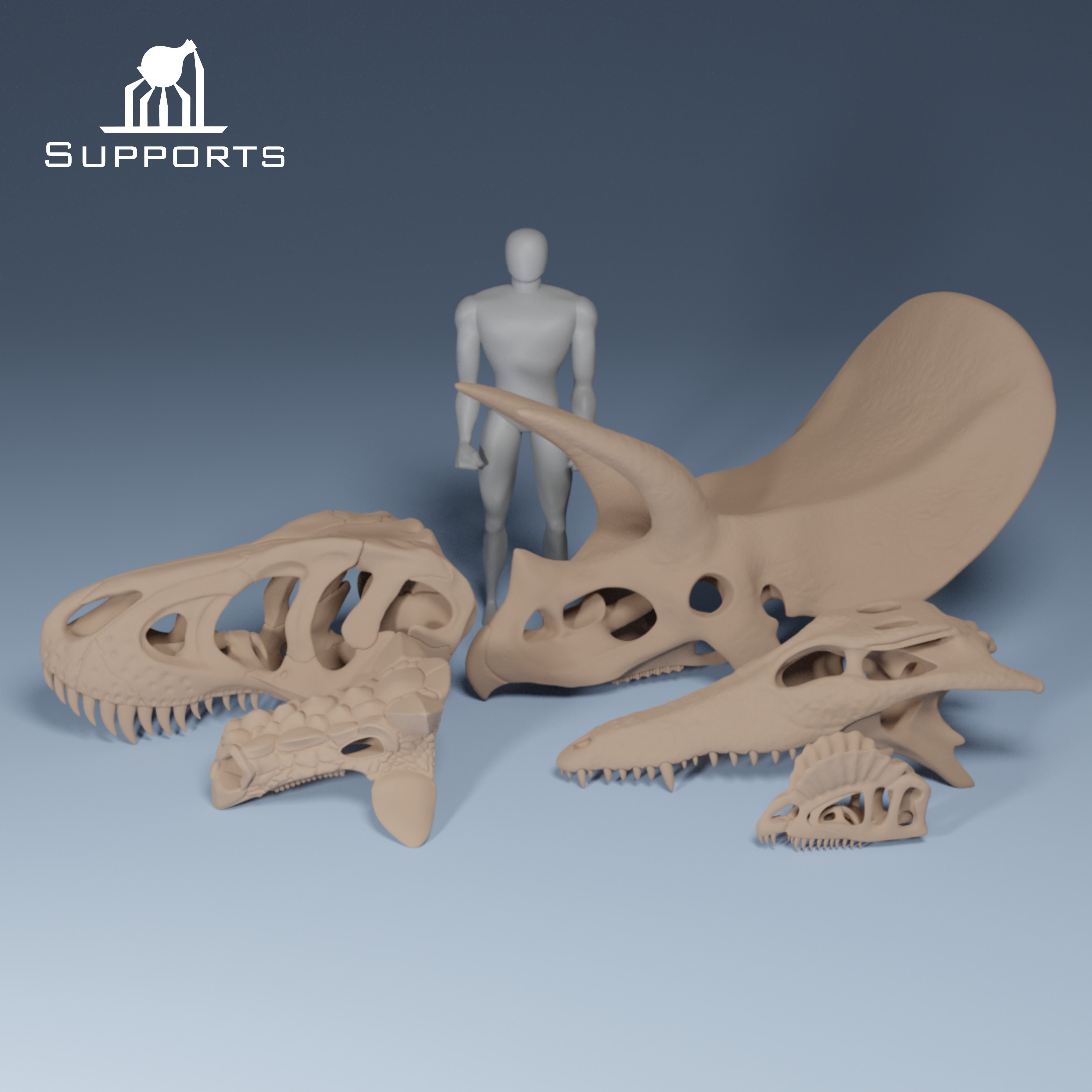 Dinosaur Skulls - Group 2