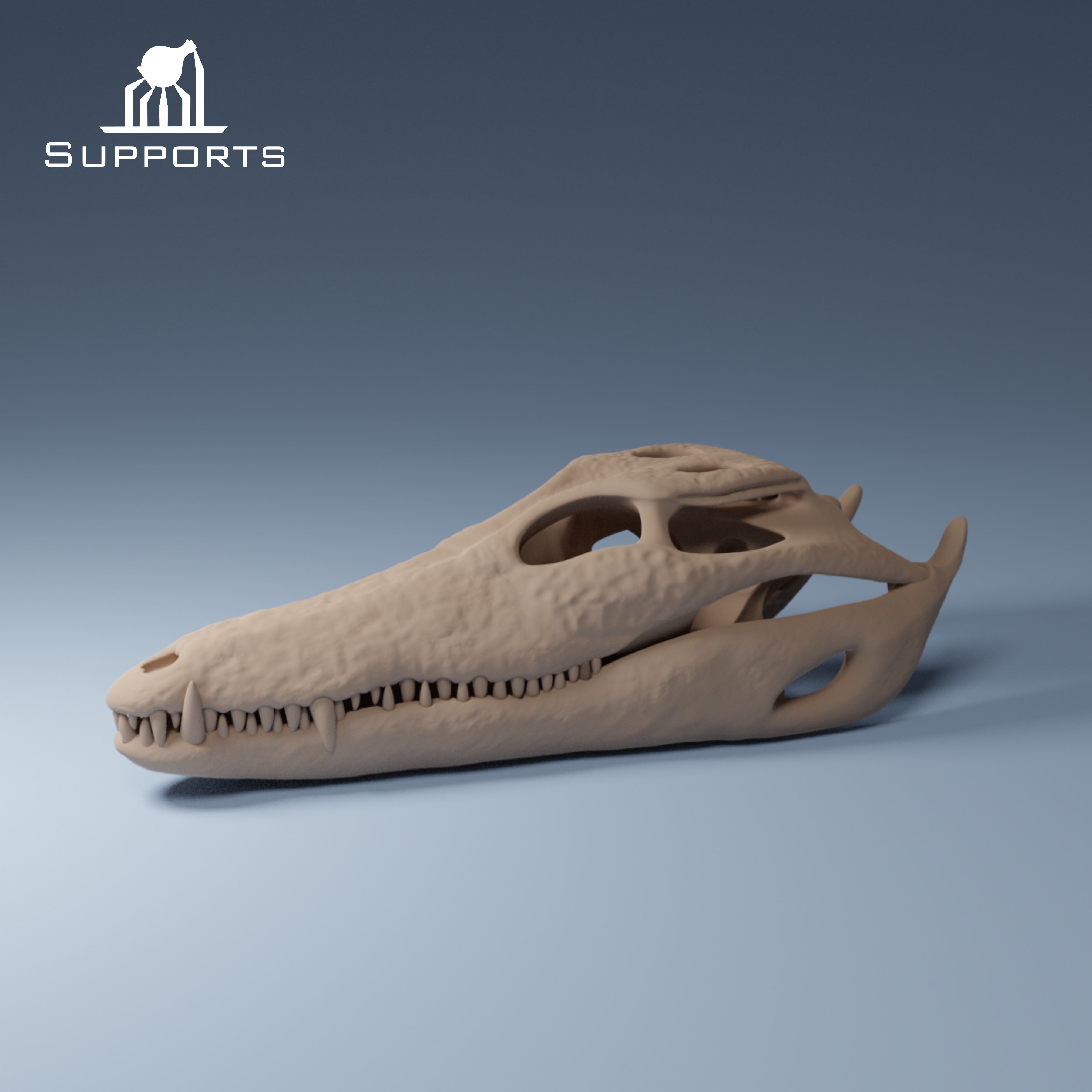 Dinosaur Skulls - Group 2