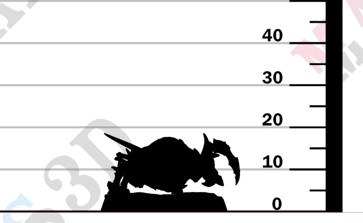 Zeek Burrowers - D