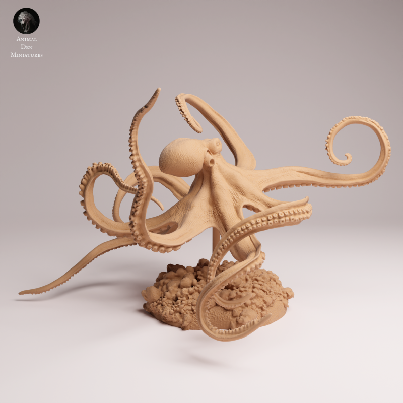 Day Octopus Swim 1-24