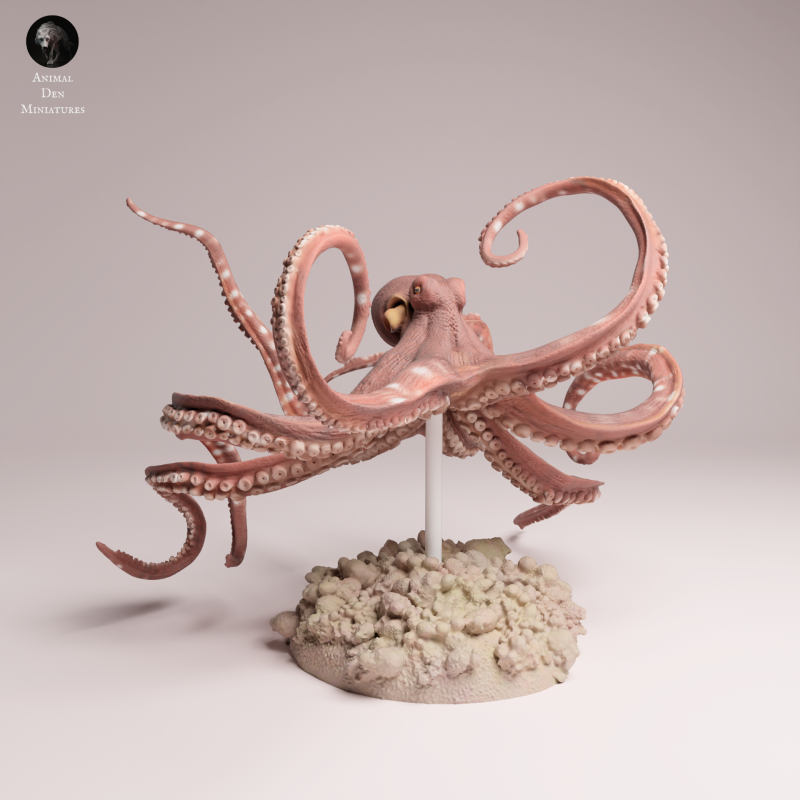 Day Octopus Swim 1-24