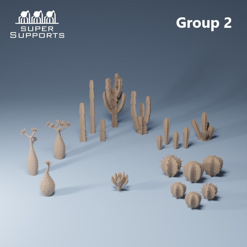 Desert Plants - Group 2