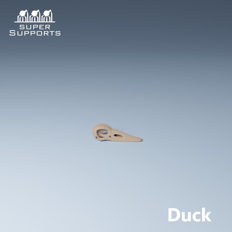 Animal Skulls - Group 4