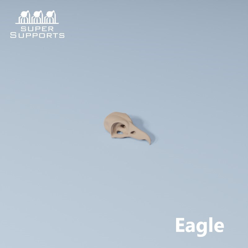 Animal Skulls - Group 3