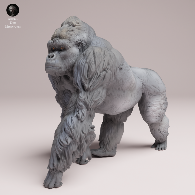 Grauers Gorilla Silverback