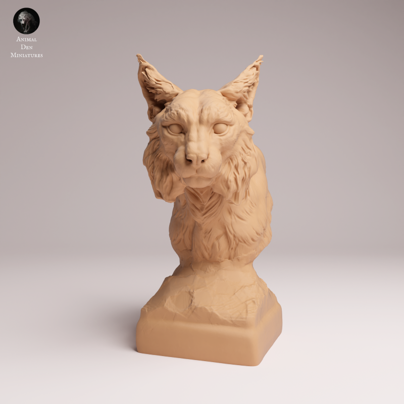 Eurasian Lynx - Bust