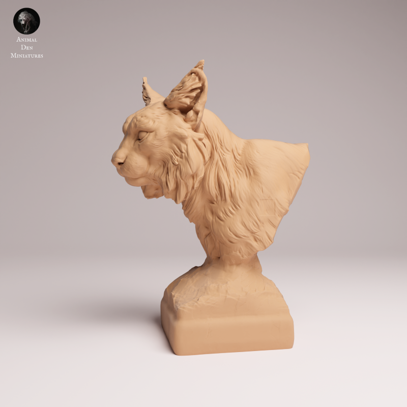 Eurasian Lynx - Bust