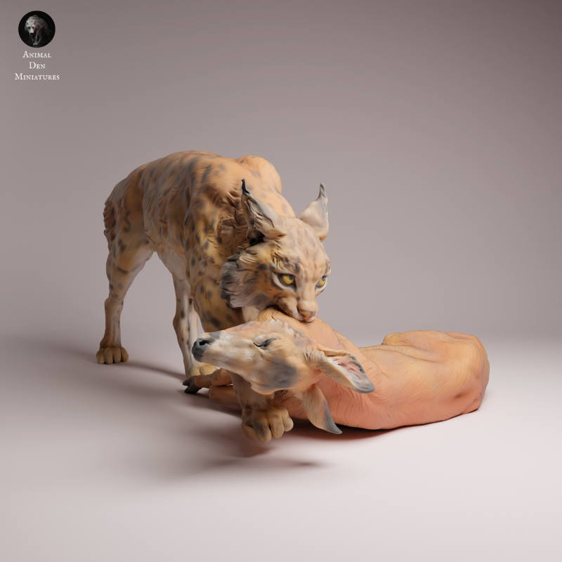 Eurasian Lynx - Prey