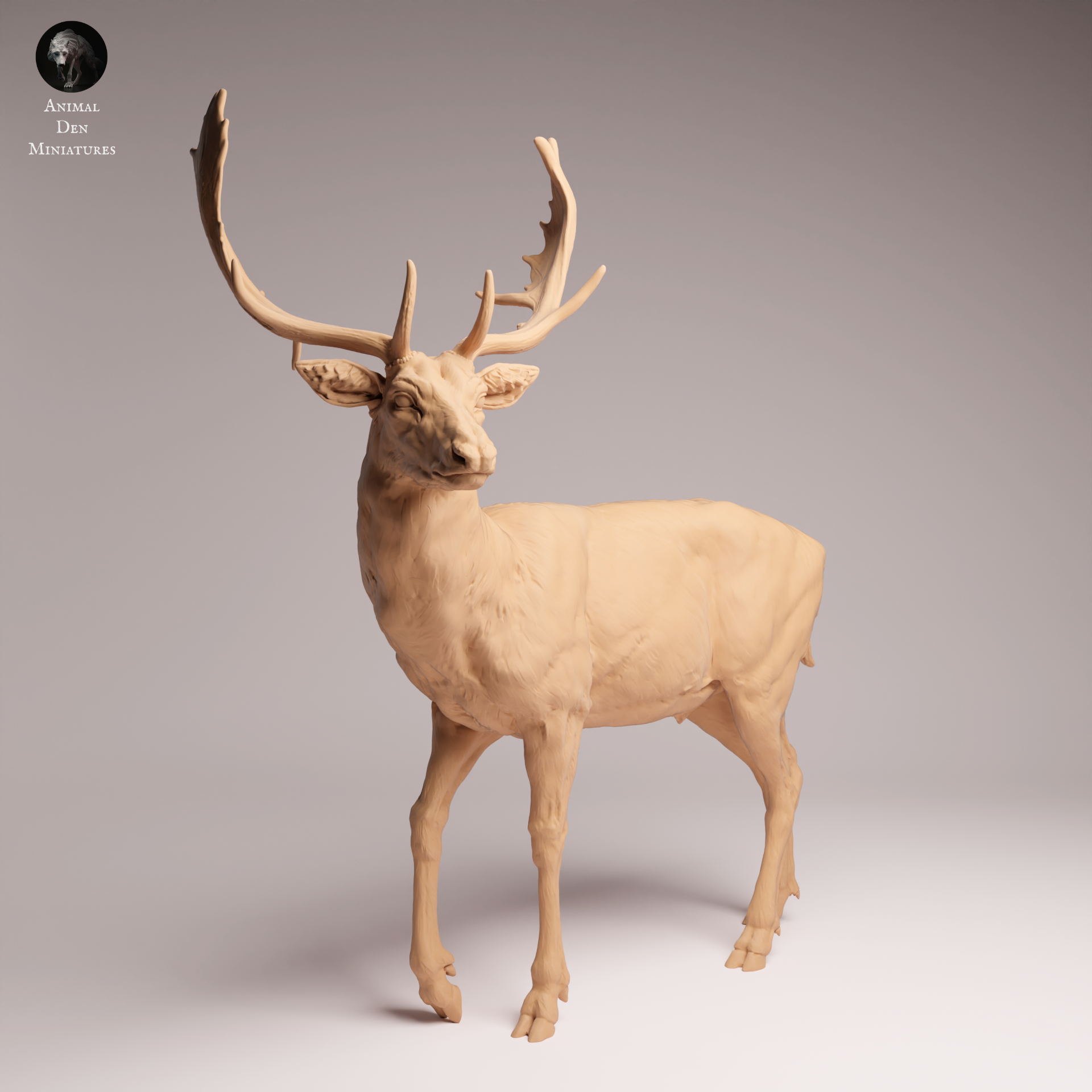 European Fallow Deer 1:24