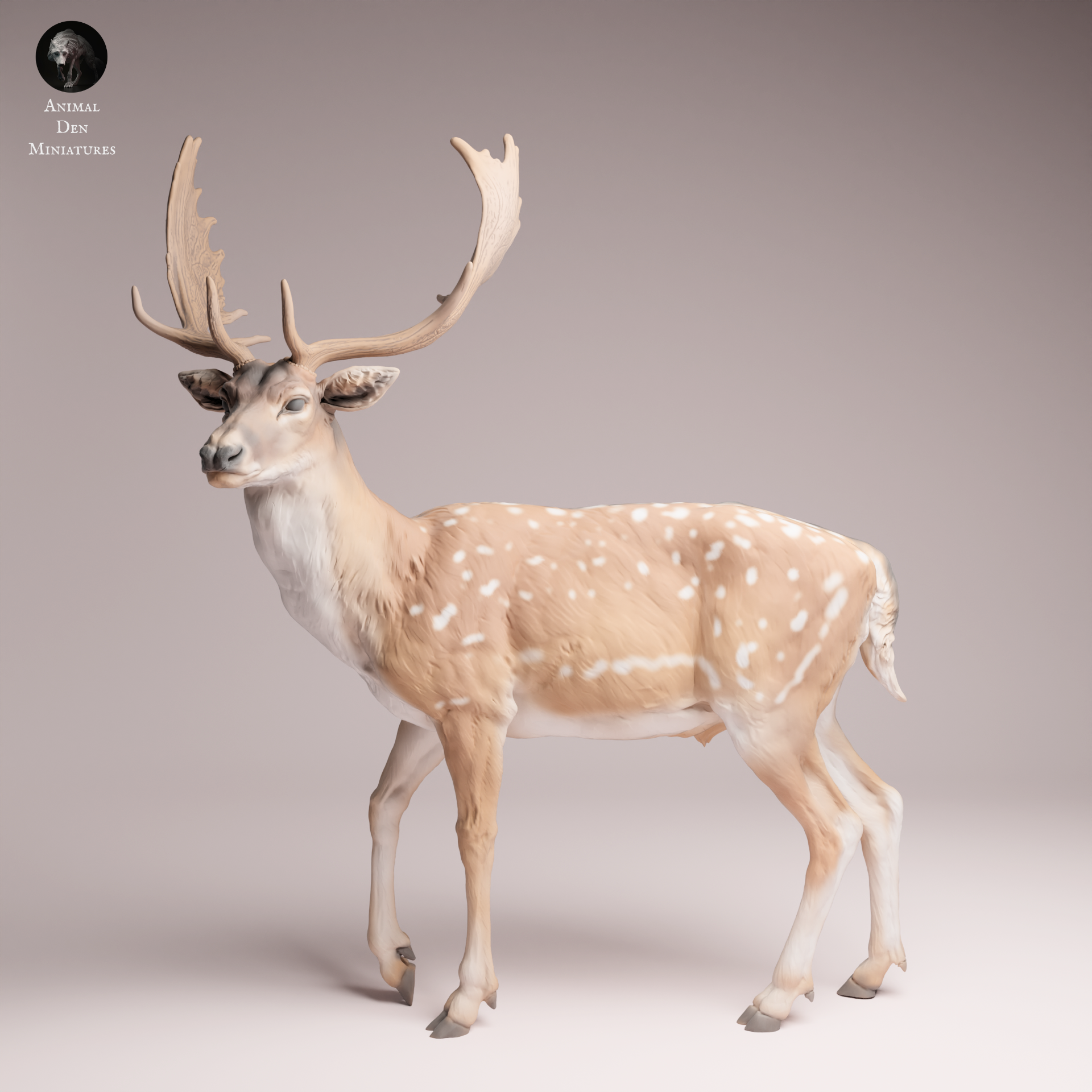 European Fallow Deer 1:24