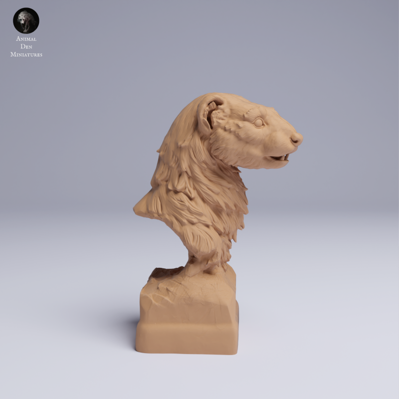 European Polecat - Bust