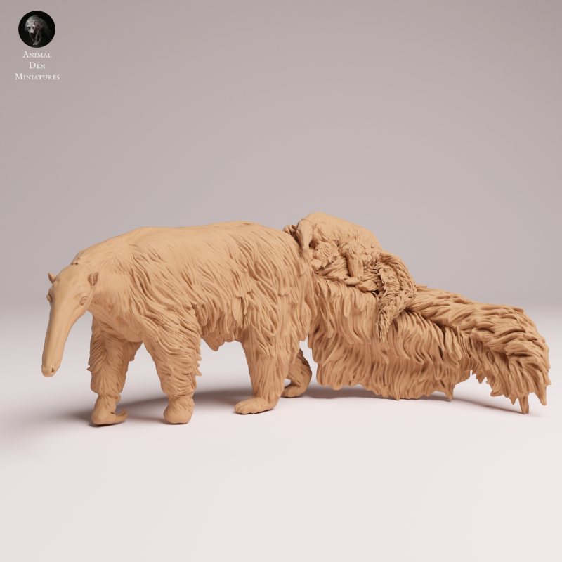 Giant Anteater - With Pup - 1-24