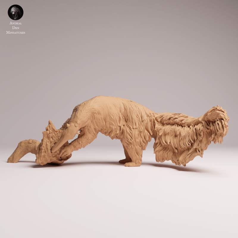 Giant Anteater - Eating - 1-24