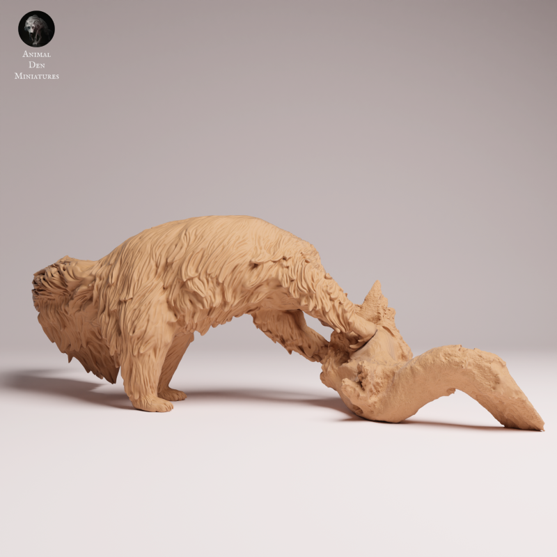 Giant Anteater - Eating - 1-24