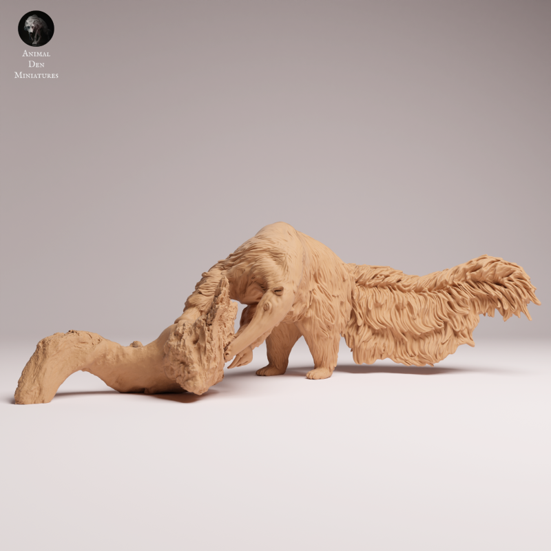 Giant Anteater - Eating - 1-24