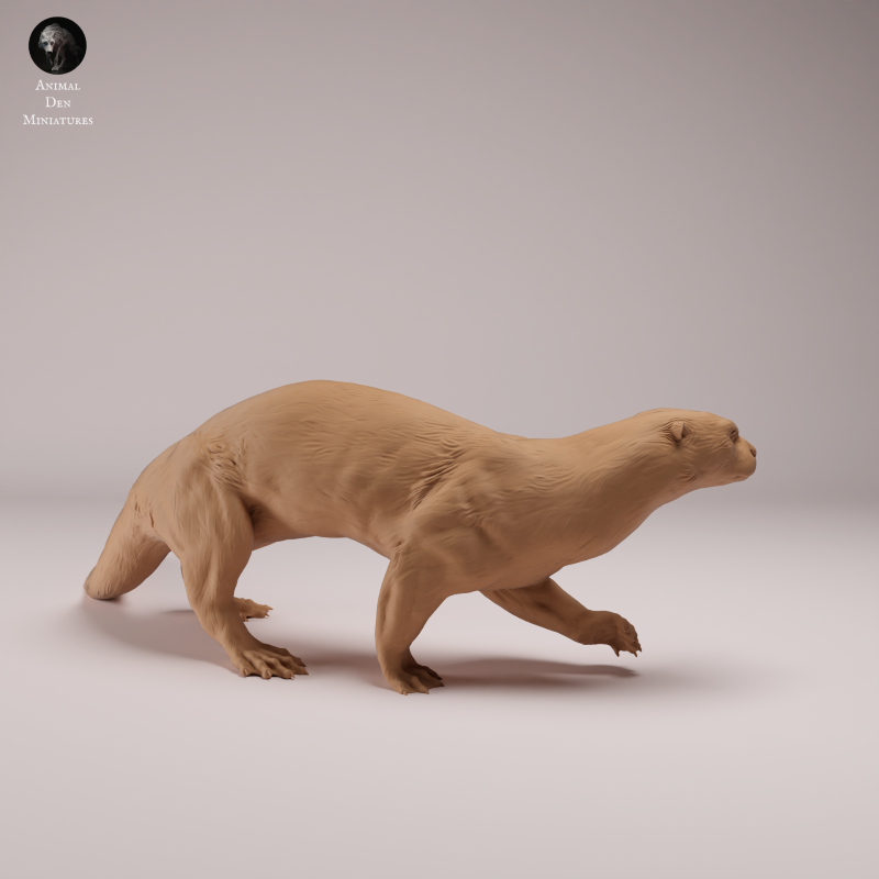 Giant Otter