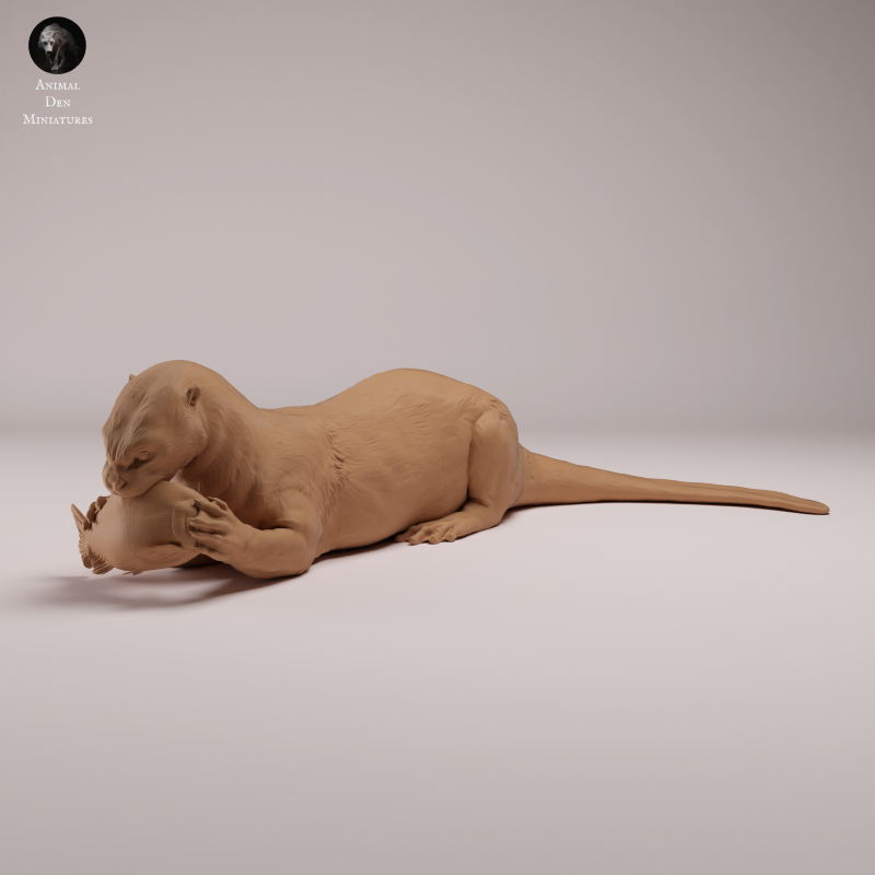 Giant Otter - Eating