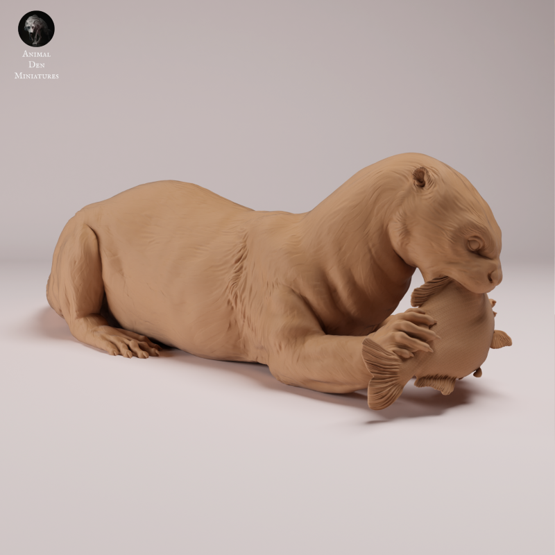 Giant Otter - Eating