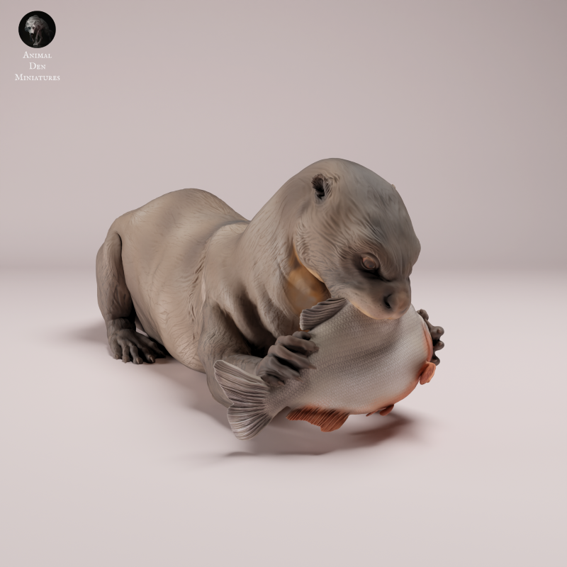 Giant Otter - Eating