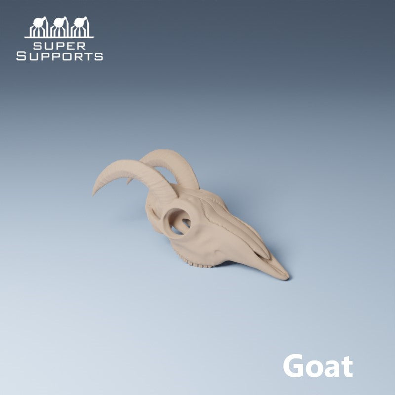 Animal Skulls - Group 4