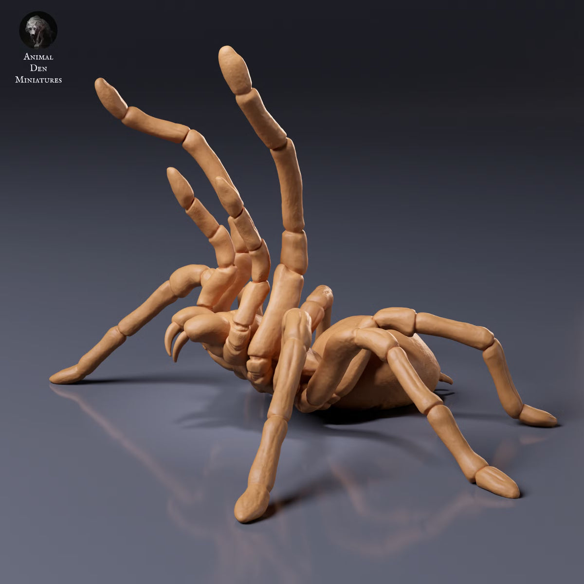 Goliath Birdeater Threatened 1:2