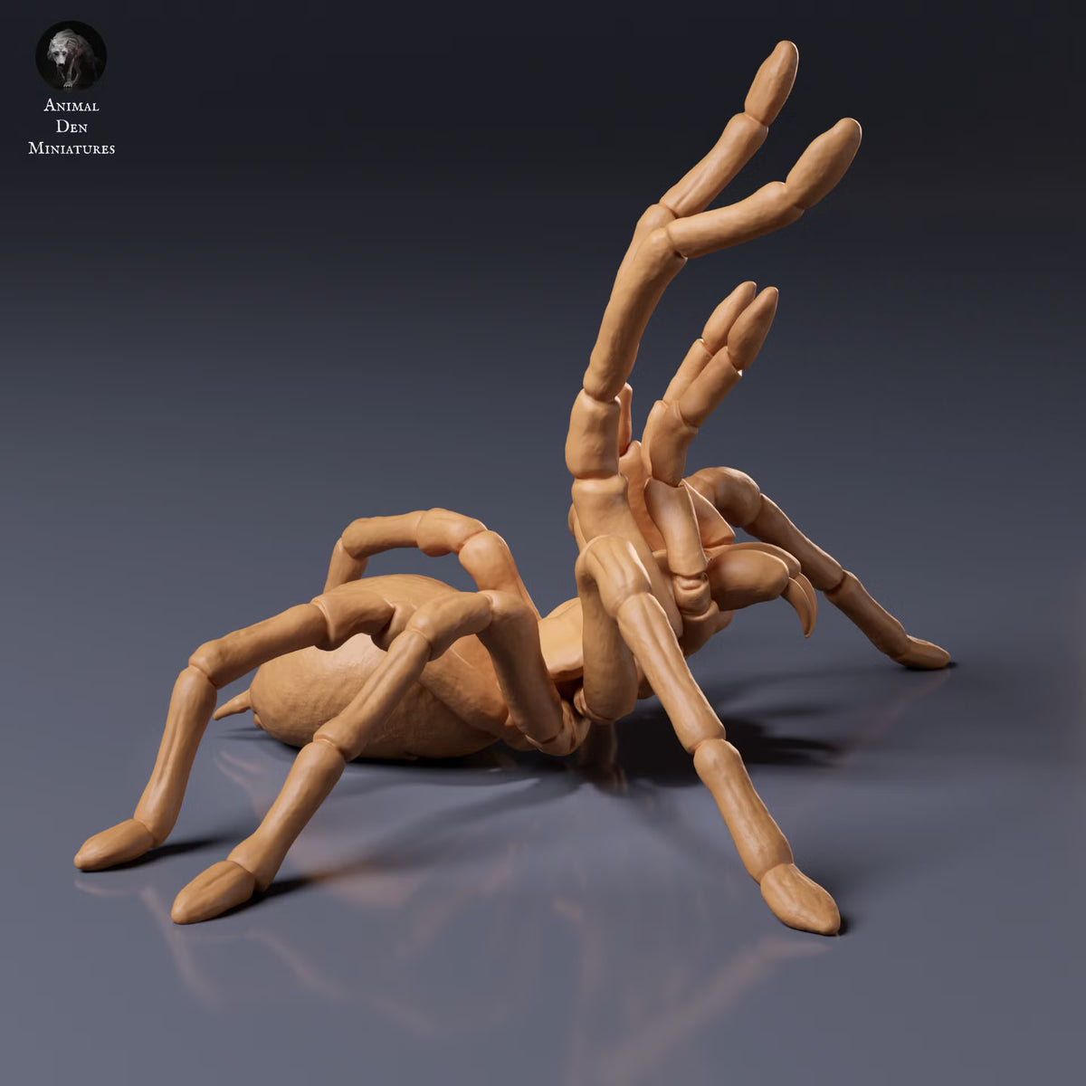 Goliath Birdeater Threatened 1:2