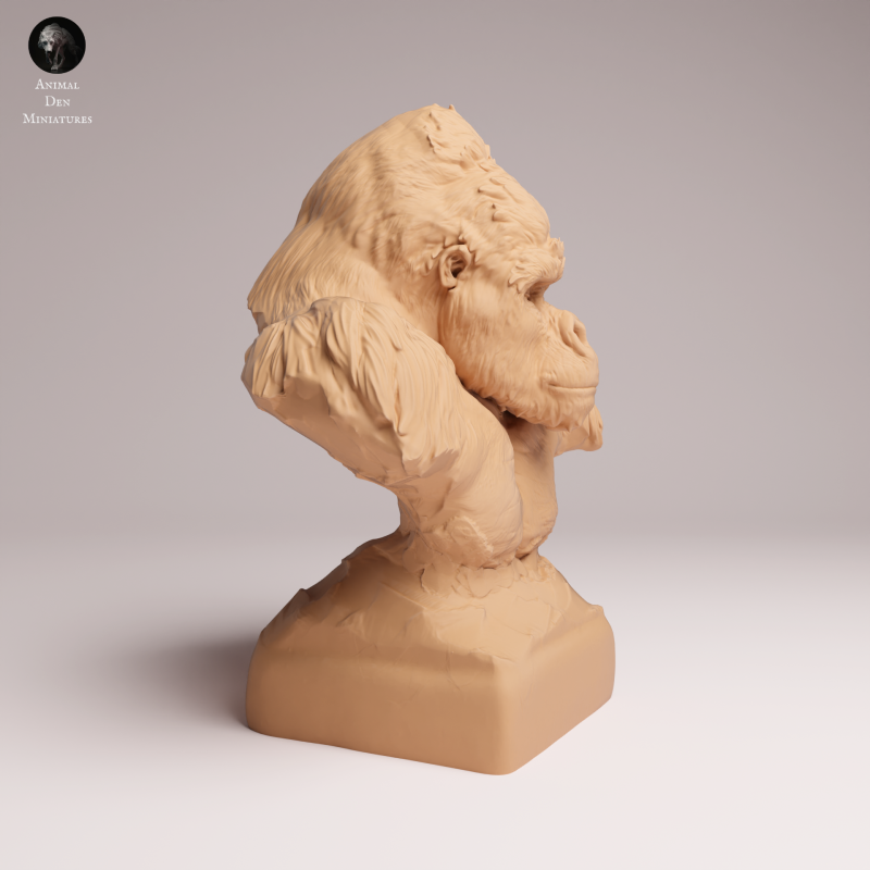 Grauers Gorilla - Bust