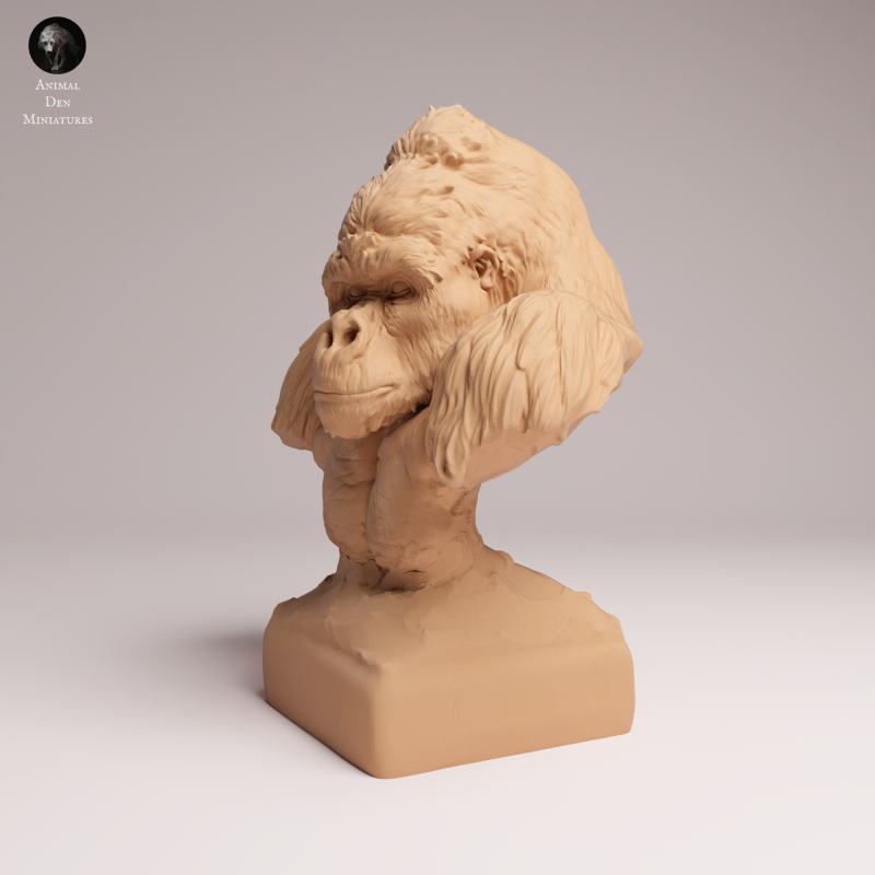 Grauers Gorilla - Bust