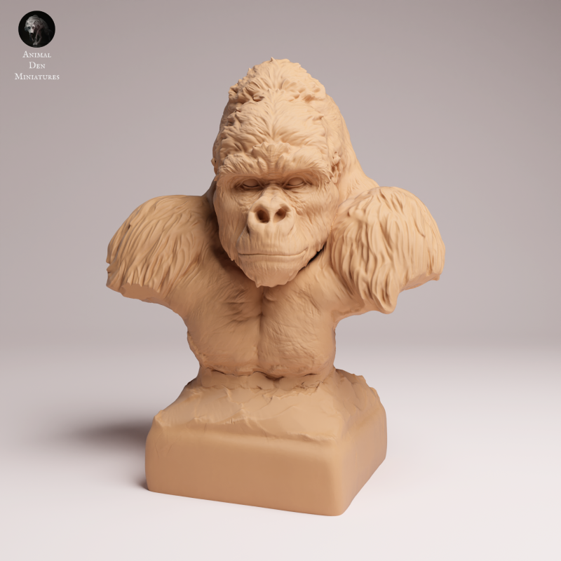 Grauers Gorilla - Bust