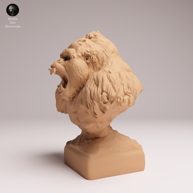 Grauers Gorilla Aggressive - Bust