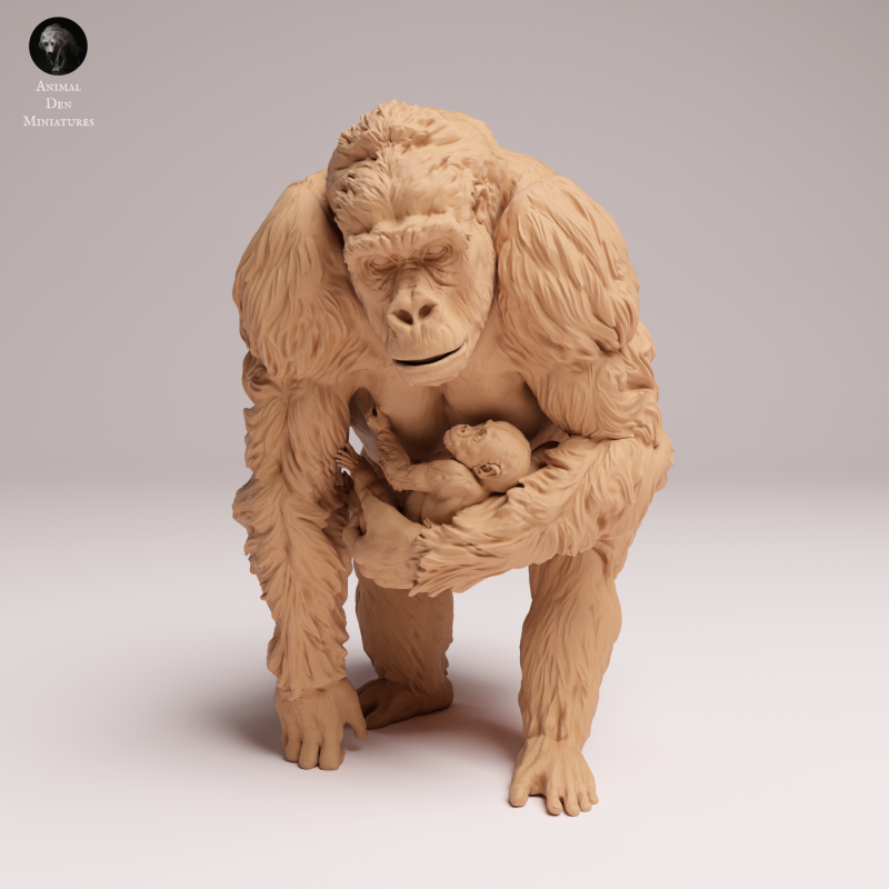 Grauers Gorilla with Baby