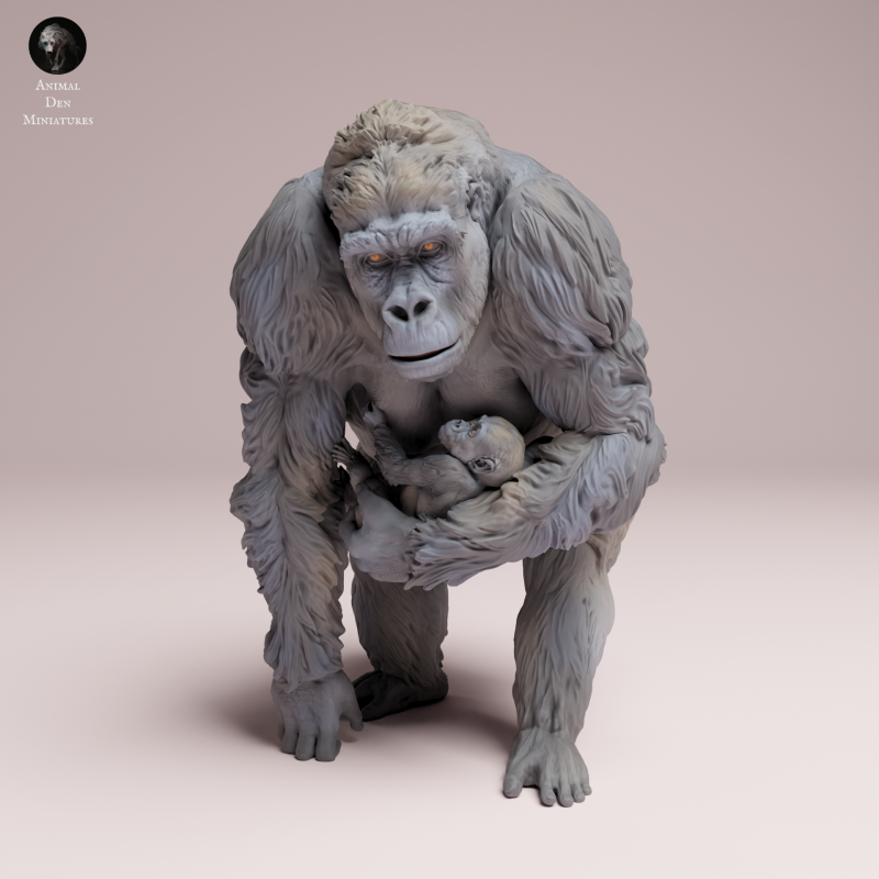 Grauers Gorilla with Baby