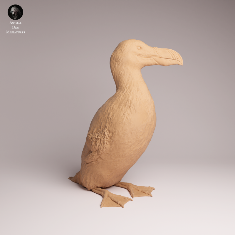 Great Auk 1:16