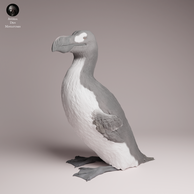 Great Auk 1:16