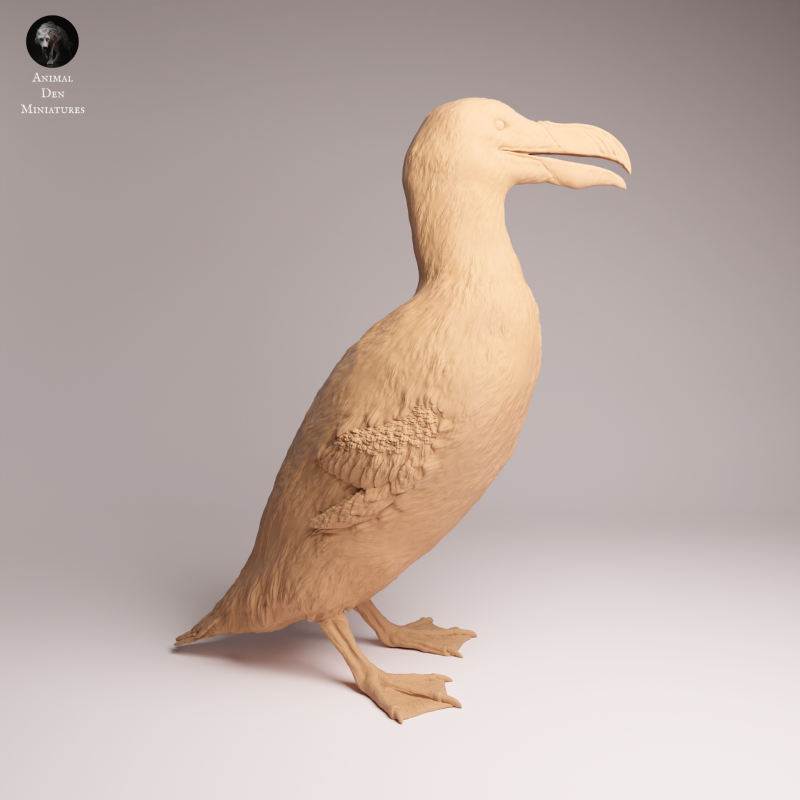 Great Auk - Stand 1:16