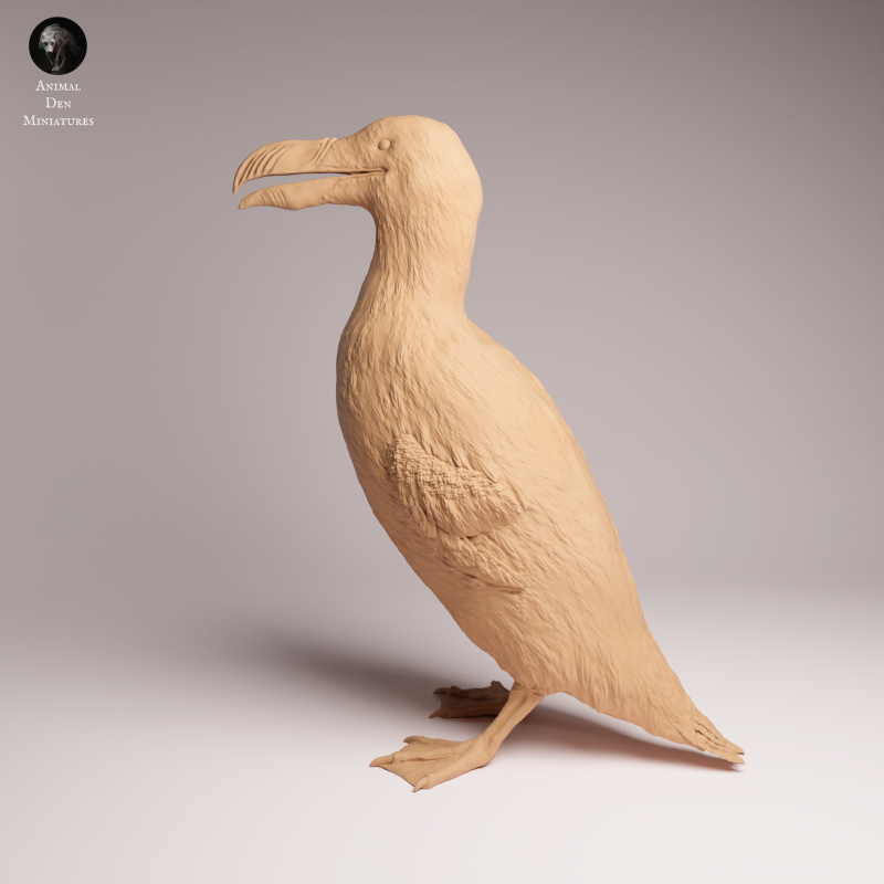 Great Auk - Stand 1:16