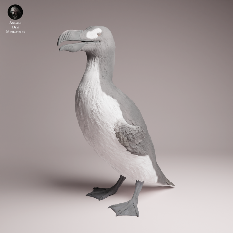 Great Auk - Stand 1:16