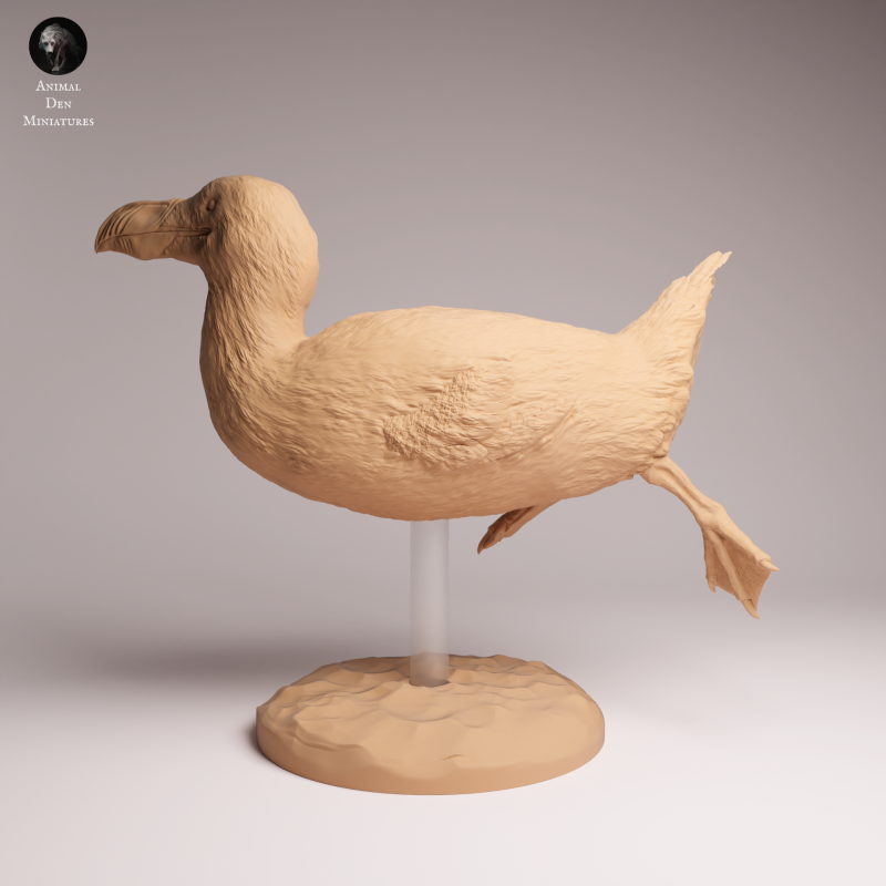 Great Auk - Swim 1:16