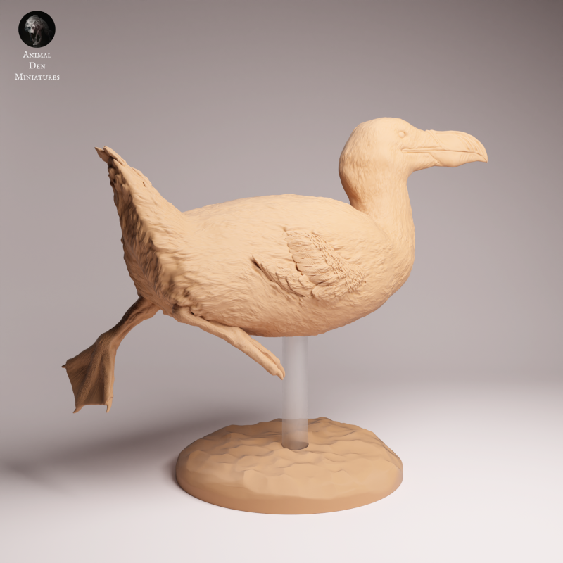 Great Auk - Swim 1:16