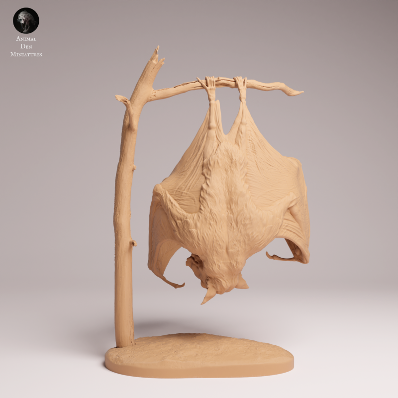Hammer-headed Bat 1:4