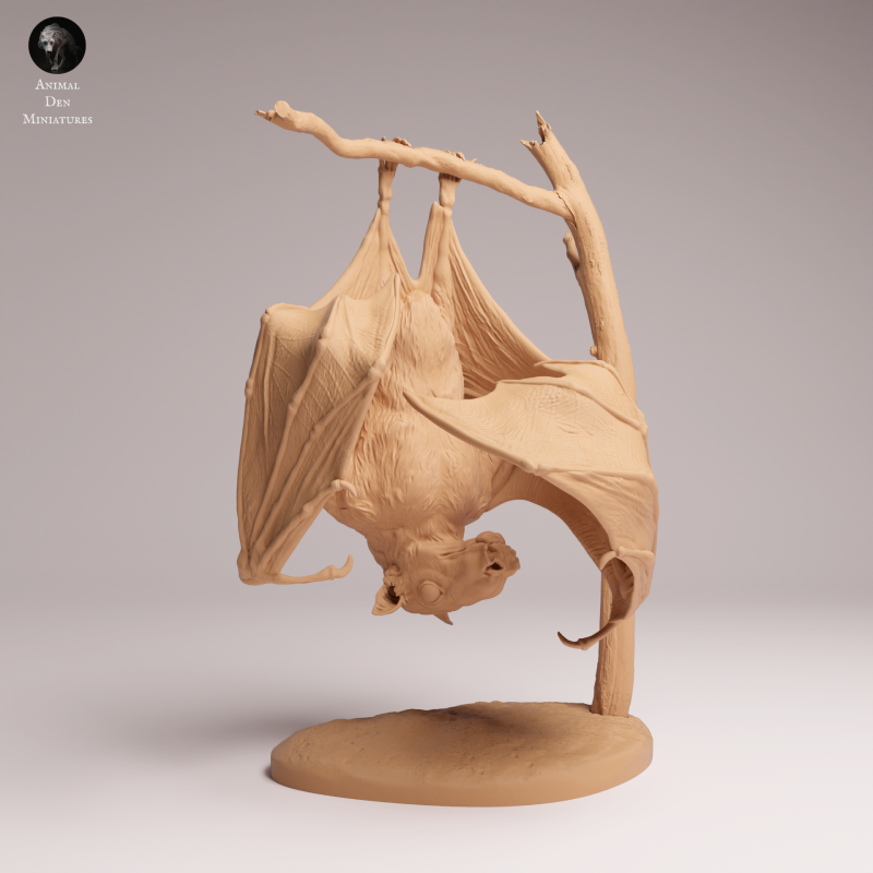 Hammer-headed Bat 1:4