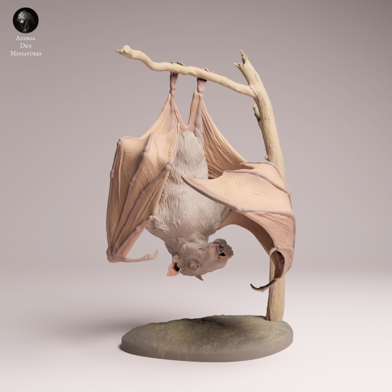 Hammer-headed Bat 1:4