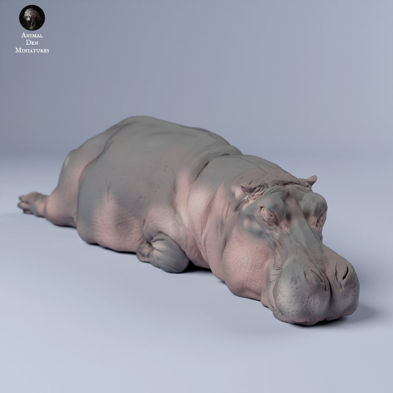Hippo Sleeping