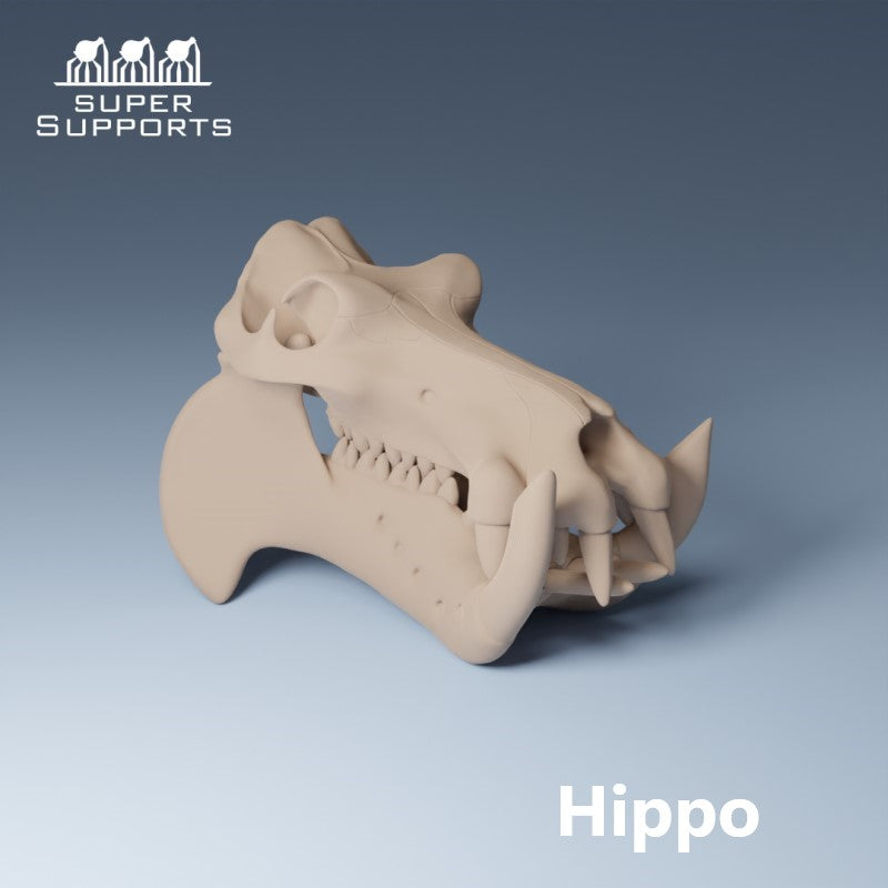 Animal Skulls - Group 4