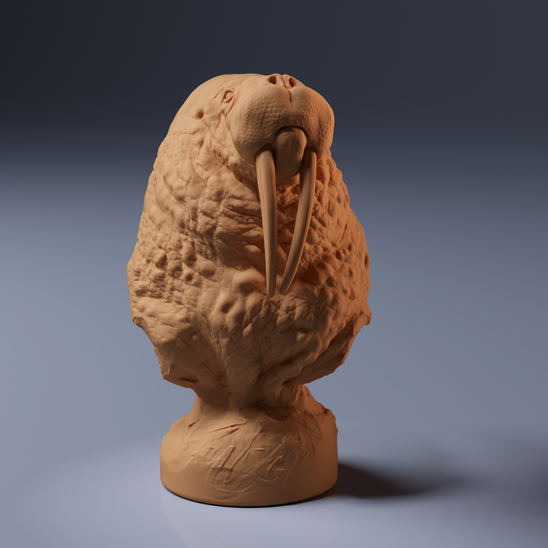 Walrus Bust 1:18
