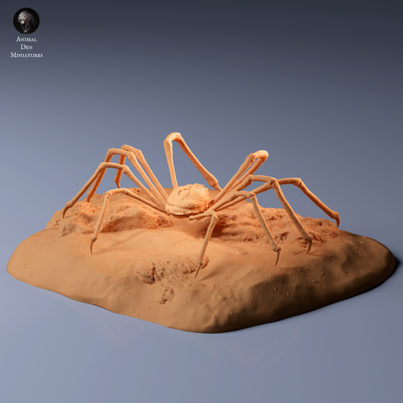 Japanese Giant Spider Crab - Scenic 1:24