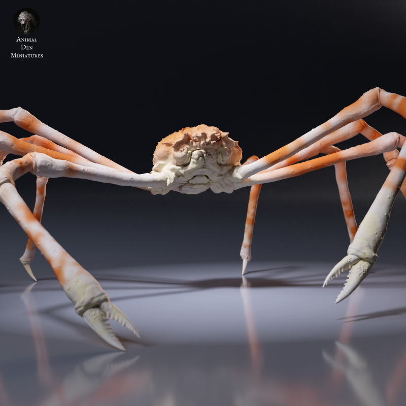 Japanese Giant Spider Crab 1:24